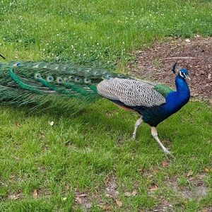 Meet your Posher, Deanna